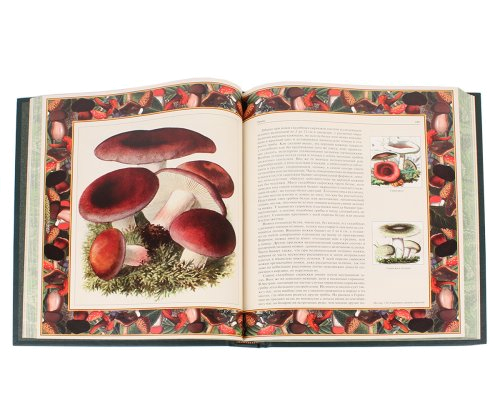 Подарочное издание "Русский лес. Грибы и ягоды"